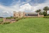 10422 Medjool Drive - Photo 43