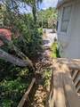 203 Canova Drive - Photo 29
