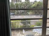 203 Canova Drive - Photo 45