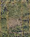 4739 Kola Road - Photo 1