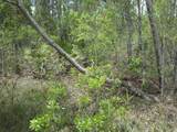 4739 Kola Road - Photo 10