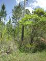 4739 Kola Road - Photo 11