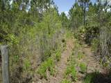 4739 Kola Road - Photo 3