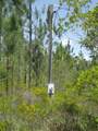 4739 Kola Road - Photo 5