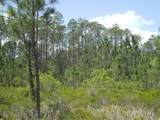 4739 Kola Road - Photo 6