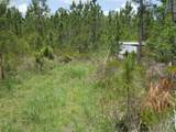 4739 Kola Road - Photo 8