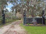 1715 Fern Park Drive - Photo 4