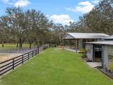 1715 Fern Park Drive - Photo 49