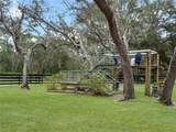 1715 Fern Park Drive - Photo 58