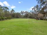 1715 Fern Park Drive - Photo 70