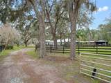 1715 Fern Park Drive - Photo 71