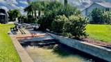 34 Richmond Drive - Photo 47