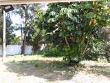 1627 Umbrella Tree Drive - Photo 12