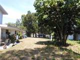 1627 Umbrella Tree Drive - Photo 15