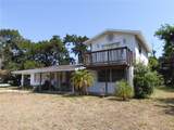 1627 Umbrella Tree Drive - Photo 2