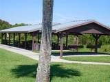 1627 Umbrella Tree Drive - Photo 44