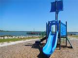 1627 Umbrella Tree Drive - Photo 45