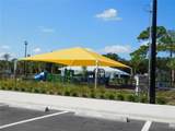 1627 Umbrella Tree Drive - Photo 50