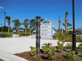 1627 Umbrella Tree Drive - Photo 54