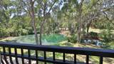 1999 Turnbull Lakes Drive - Photo 44