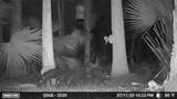  Volco Road - Photo 17