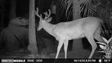  Volco Road - Photo 18