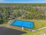 356 Caryota Court - Photo 43