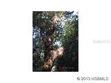 4148 Michigan Avenue - Photo 13