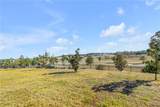 5256 Red Coral Circle - Photo 59