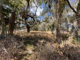  Wallace Road - Photo 6