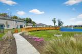 158 Jones Fish Camp Road - Photo 50
