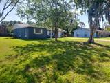 2315 Queen Palm Drive - Photo 4