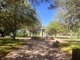 3431 Torre Boulevard - Photo 96