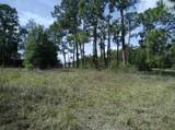 705 Horse Club Avenue - Photo 2