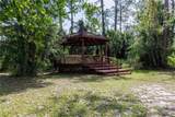 557 Newton Road - Photo 6