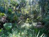  Old Mission Road - Photo 16