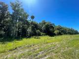  Old Mission Road - Photo 3