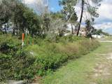 1684 Catalina Blvd - Photo 5