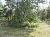 1684 Catalina Blvd - Photo 7