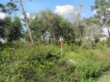1688 Catalina Blvd - Photo 3