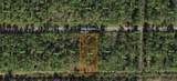 916 Camellia Drive - Photo 4