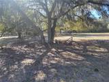3142 Plymouth Sorrento Road - Photo 10