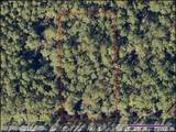  Quince Avenue - Photo 4