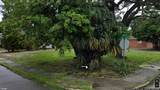 2401 10TH Avenue - Photo 2