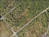 981 Laika Road - Photo 2