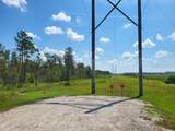  S Apopka Vineland - Photo 5