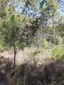  Salyers Road - Photo 6