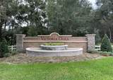 567 Lady Grace Place - Photo 37