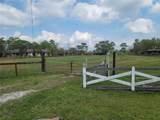 19755 Lake Pickett Road - Photo 8