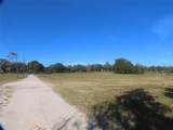 33916 County Road 437 - Photo 1